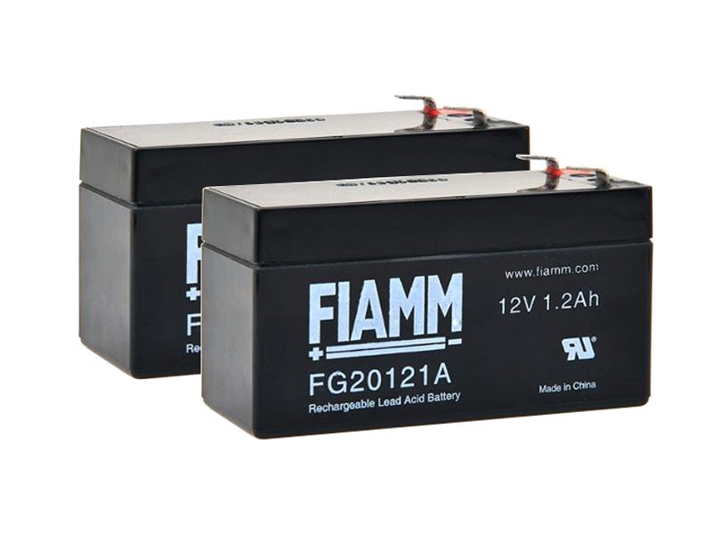 Akku Set aus zwei Bleiakkus für Stiegelmeyer